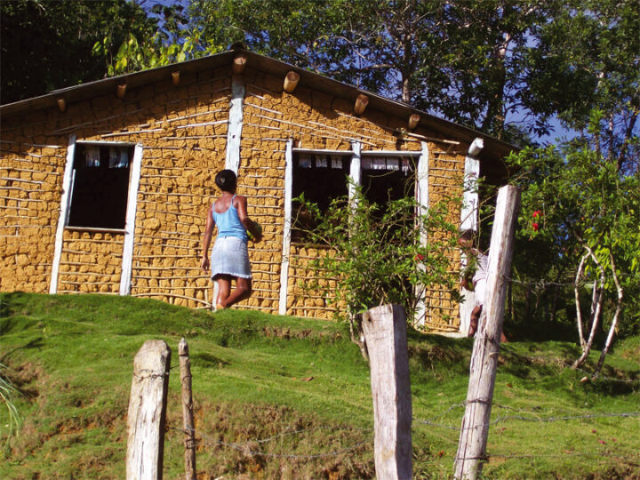 Áurea Carolina pede informações ao INCRA sobre processos de licenciamento ambiental em território quilombola