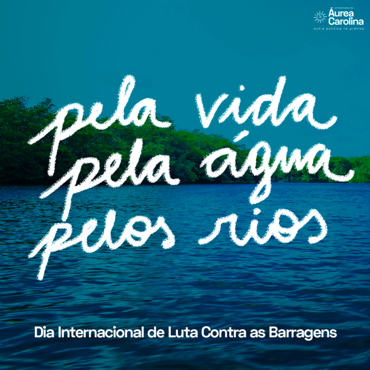 Dia Internacional de Luta Contra as Barragens: conheça as ações de Áurea Carolina no enfrentamento à mineração
